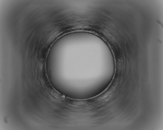 X0000097481257200803071708