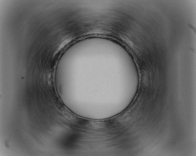 X0000097481258200803071708