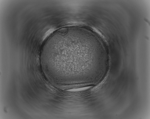 X0000097481259200803071708