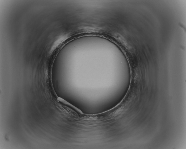 X0000097481261200803071708