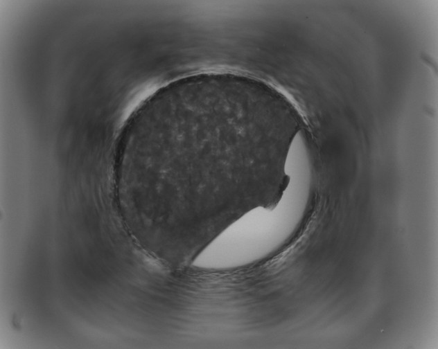 X0000097481263200803071708