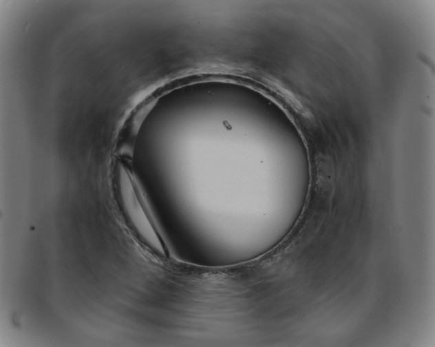 X0000097481264200803071708