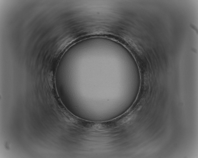 X0000097481265200803071708