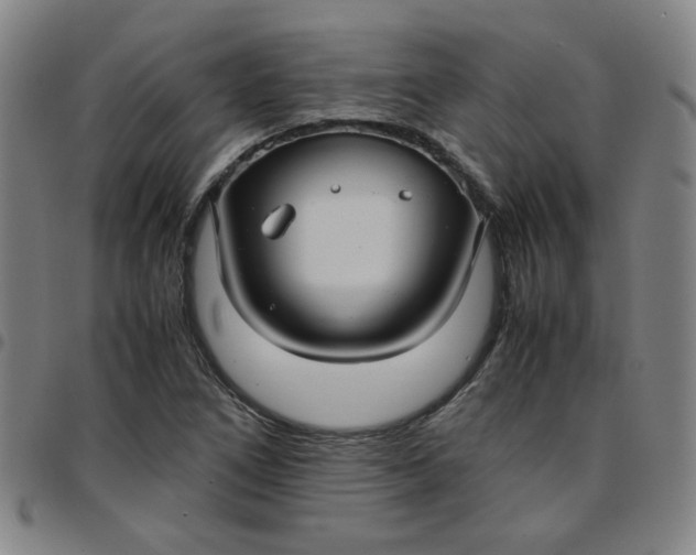 X0000097481266200803071708