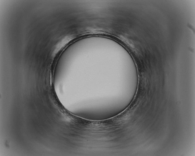 X0000097481269200803071708