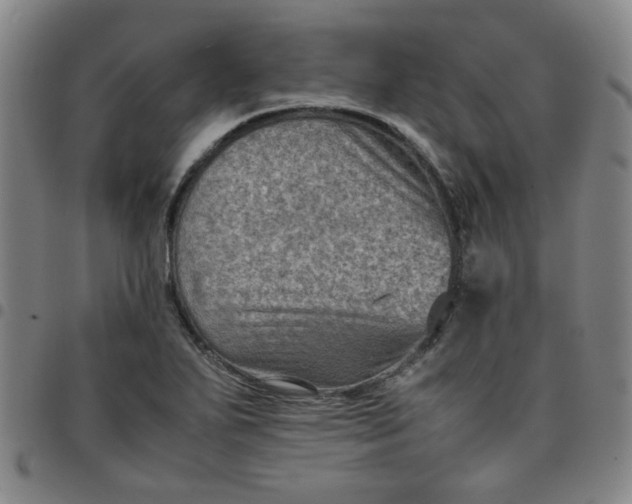 X0000097481271200803071708