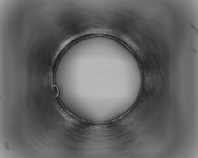 X0000097481272200803071708