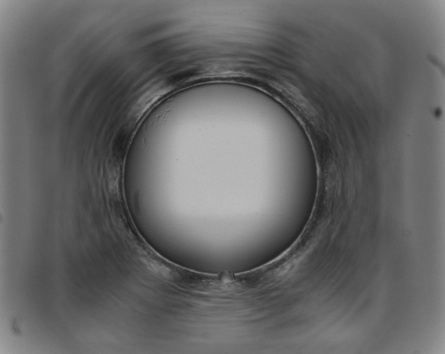 X0000097481273200803071708