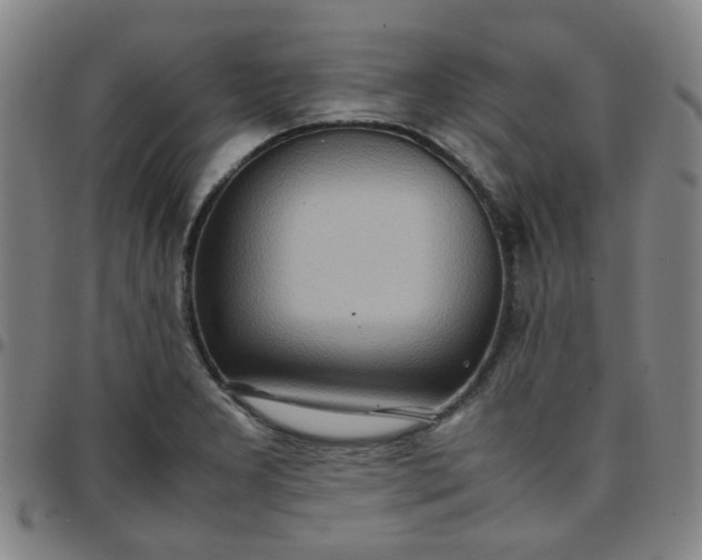 X0000097481277200803071708