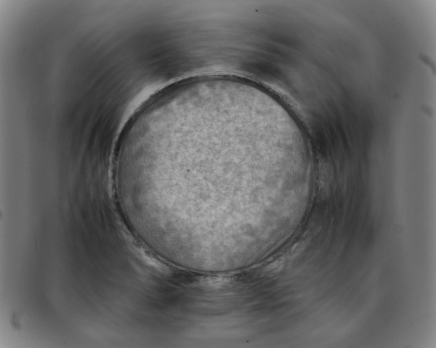 X0000097481278200803071708