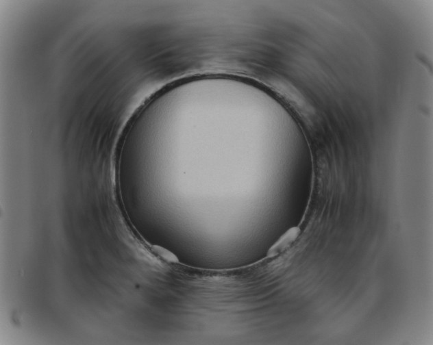 X0000097481280200803071708