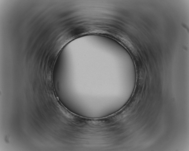 X0000097481281200803071708