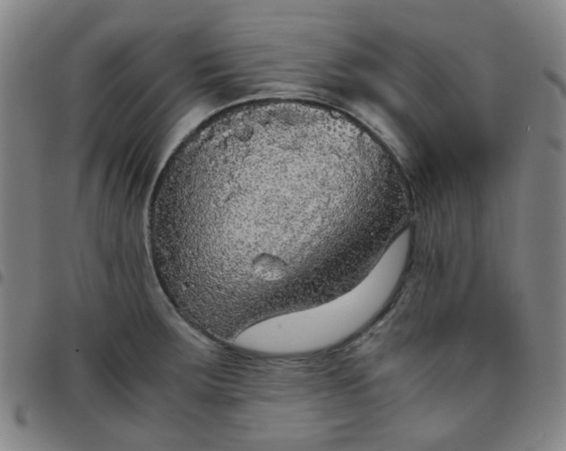 X0000097481283200803071708