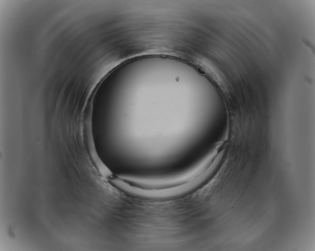 X0000097481284200803071708