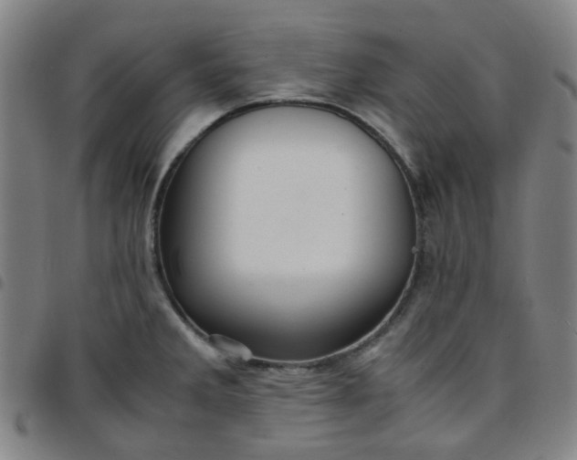 X0000097481285200803071708