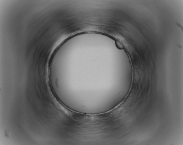 X0000097481286200803071708