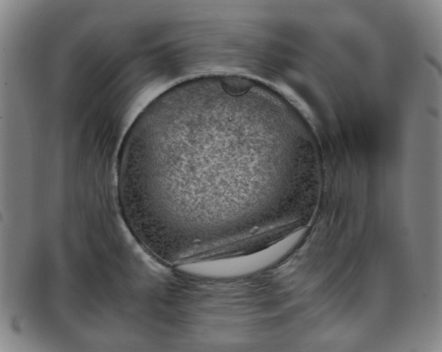 X0000097481287200803071708