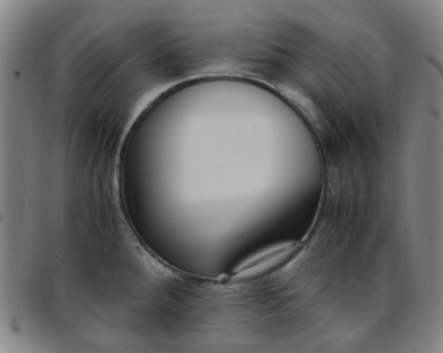 X0000097481288200803071708