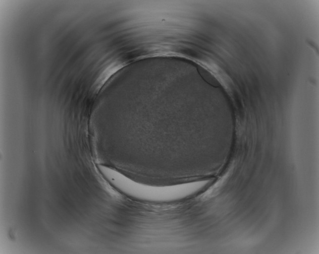 X0000097481289200803071708