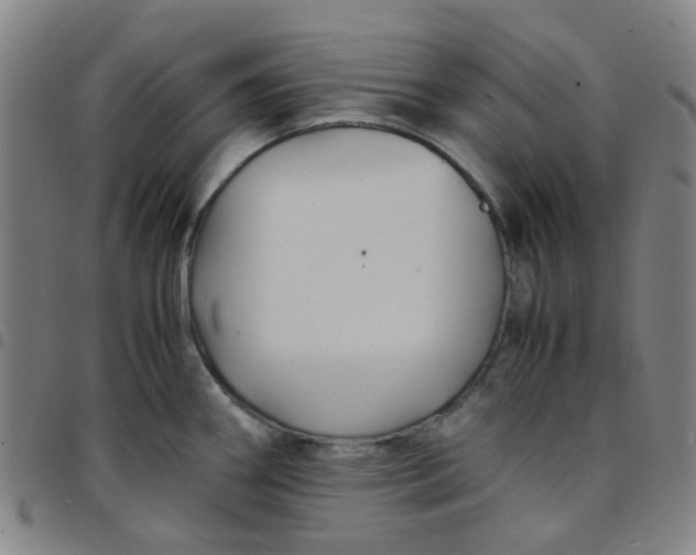 X0000097481290200803071708