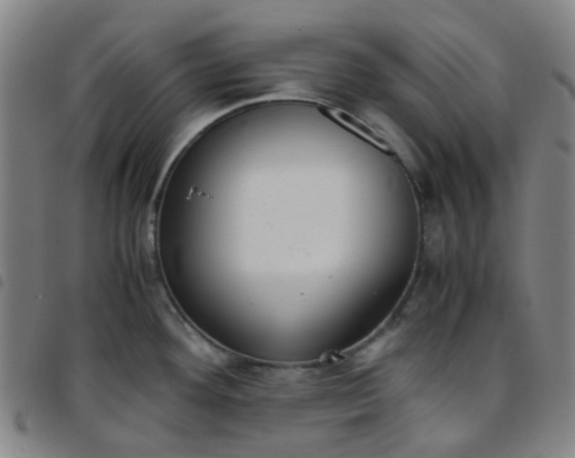 X0000097481292200803071708