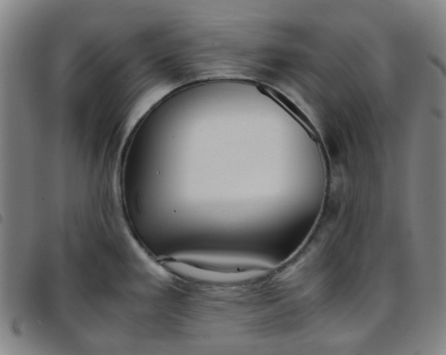 X0000097481293200803071708