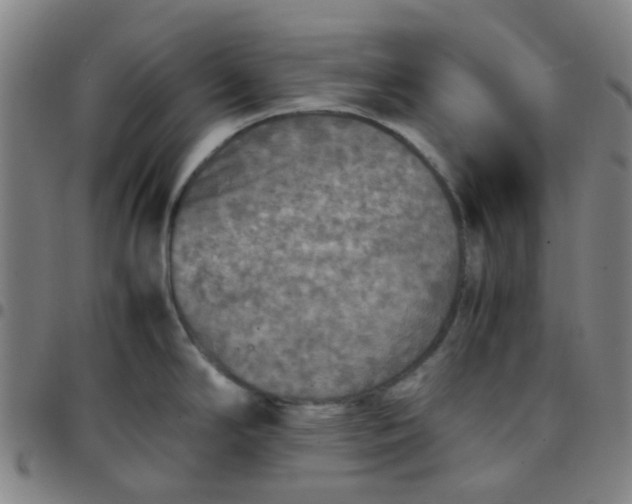 X0000097481294200803071708