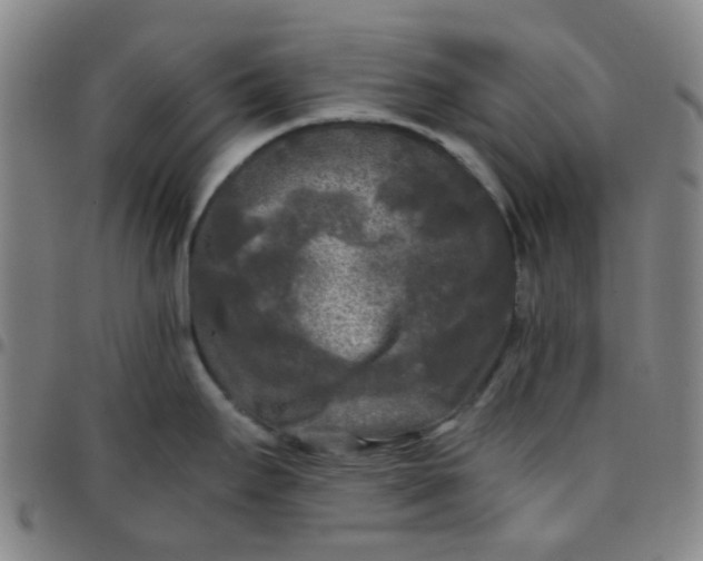 X0000097481295200803071708