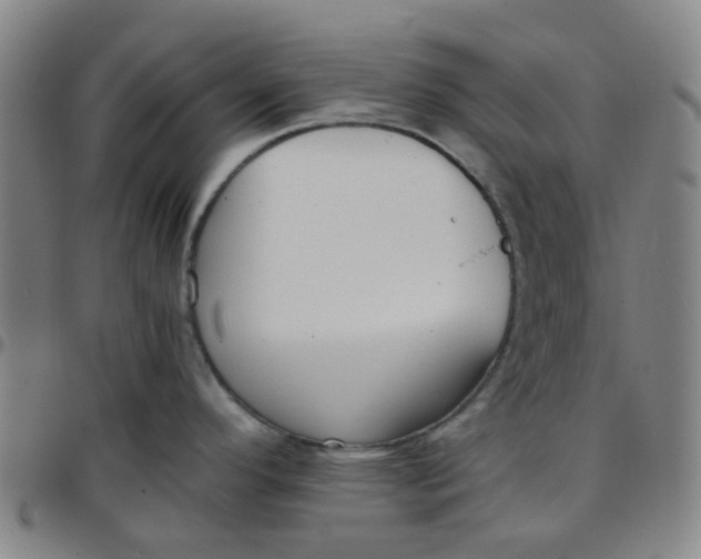 X0000097481296200803071708