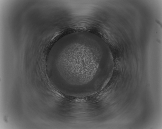 X0000097481297200803071707