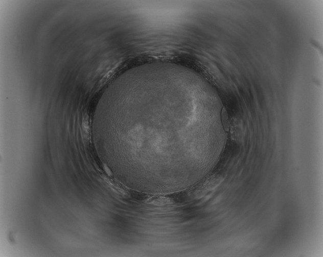 X0000097481298200803071707