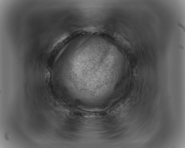 X0000097481302200803071707