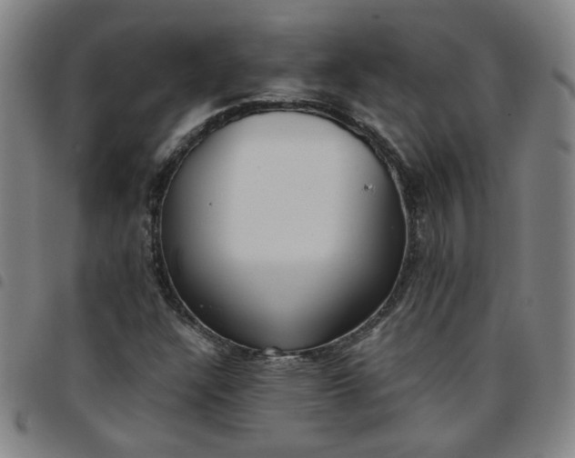 X0000097481304200803071707