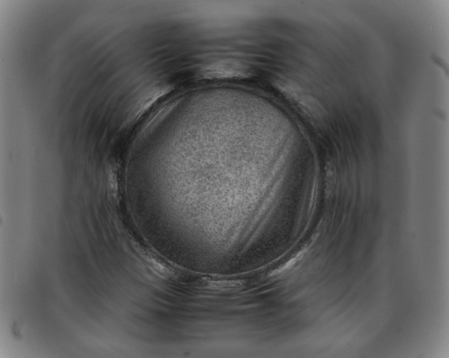 X0000097481305200803071707