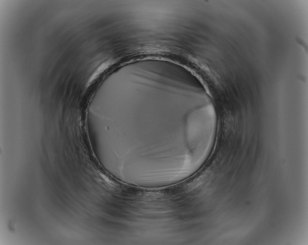 X0000097481306200803071707