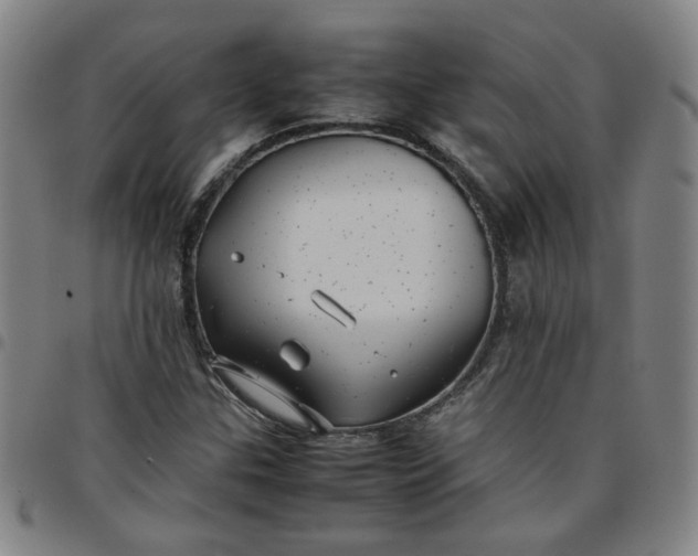 X0000097481307200803071707