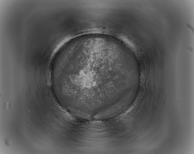 X0000097481310200803071707