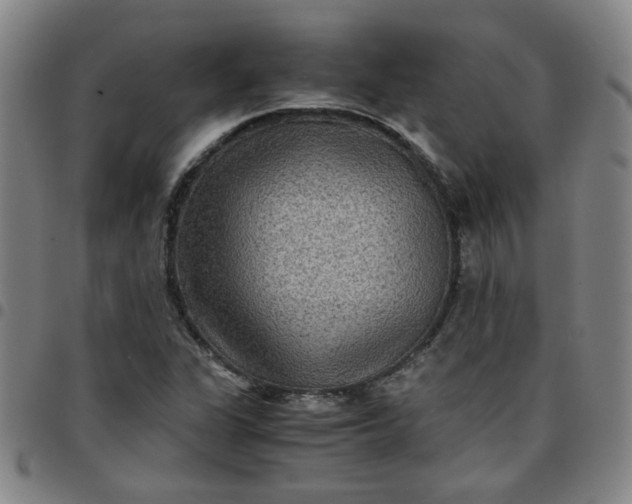 X0000097481311200803071707