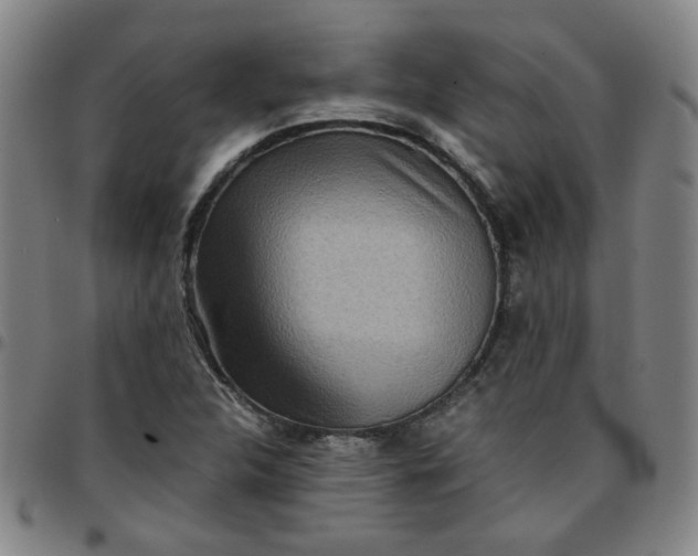 X0000097481312200803071707