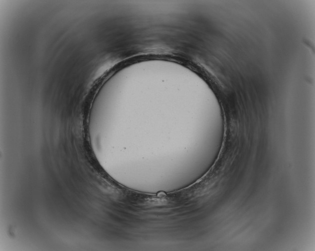 X0000097481315200803071707