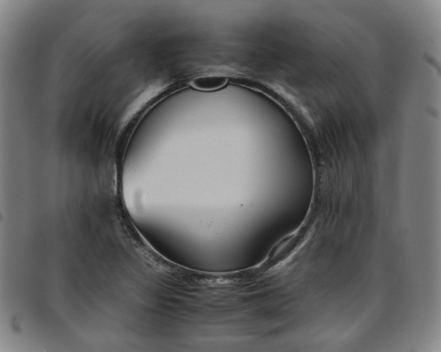 X0000097481317200803071707