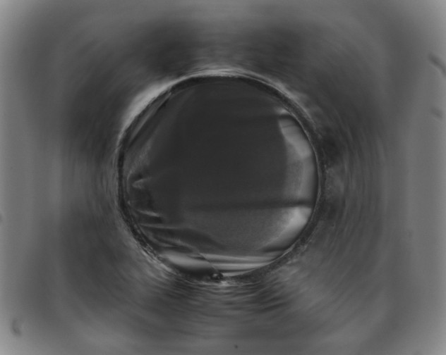 X0000097481319200803071707