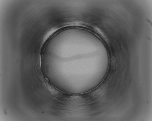 X0000097481320200803071707