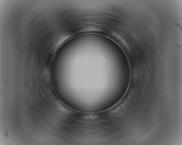 X0000097481321200803071707