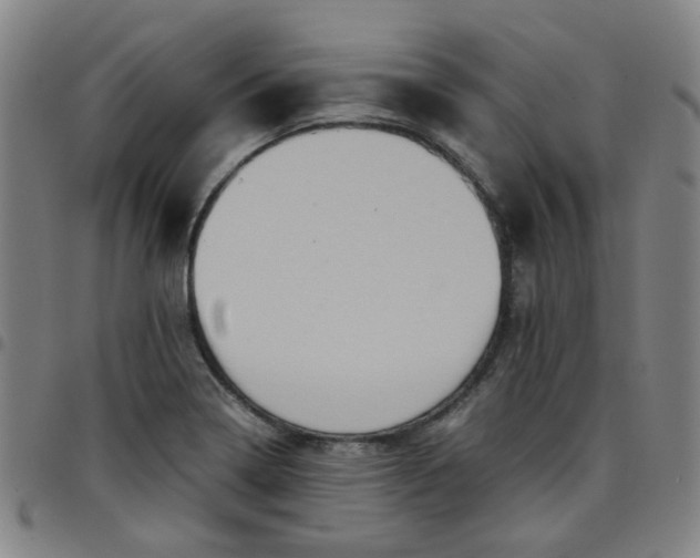 X0000097481322200803071707