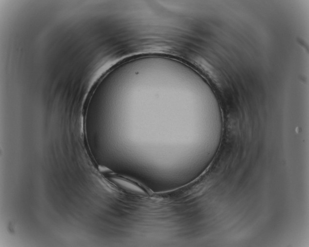 X0000097481324200803071707