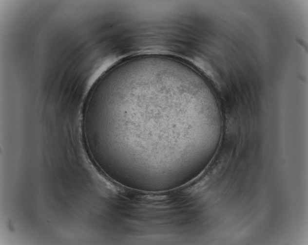 X0000097481325200803071707