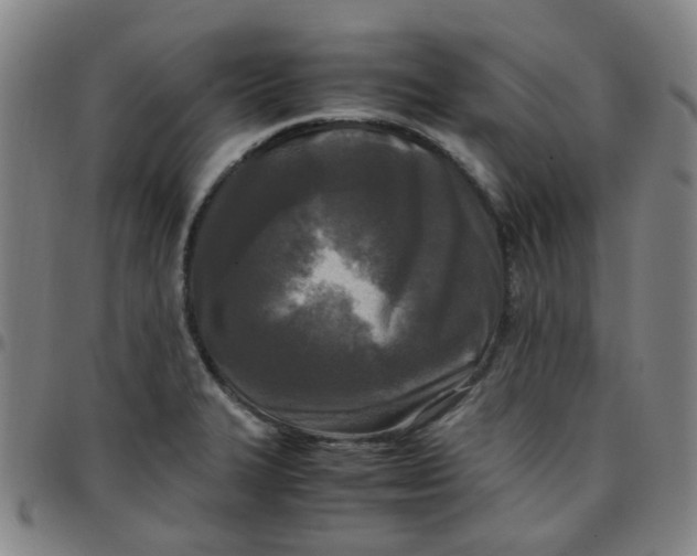 X0000097481327200803071707