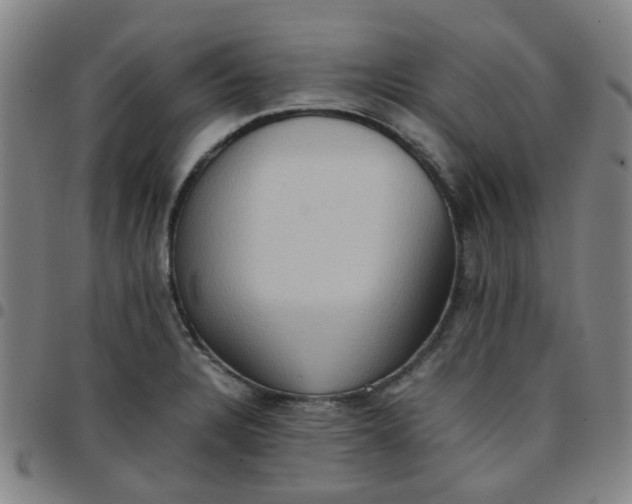 X0000097481328200803071708