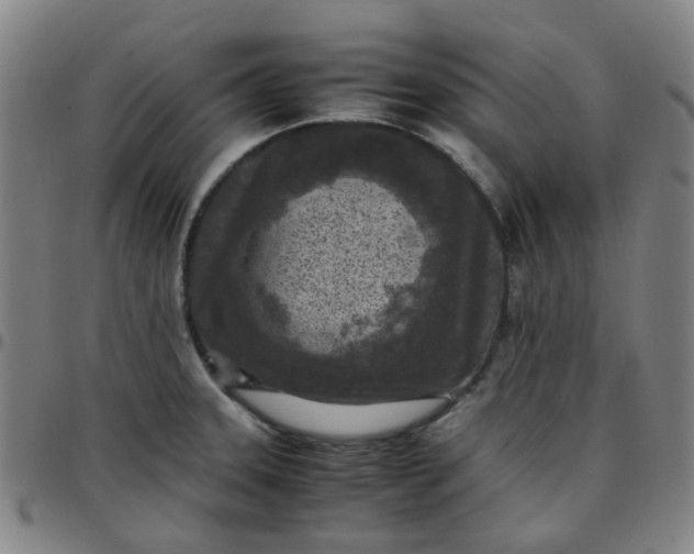 X0000097481331200803071708